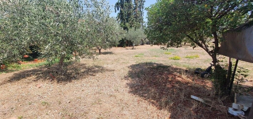 Terreno em Halkidiki, 2000 m2