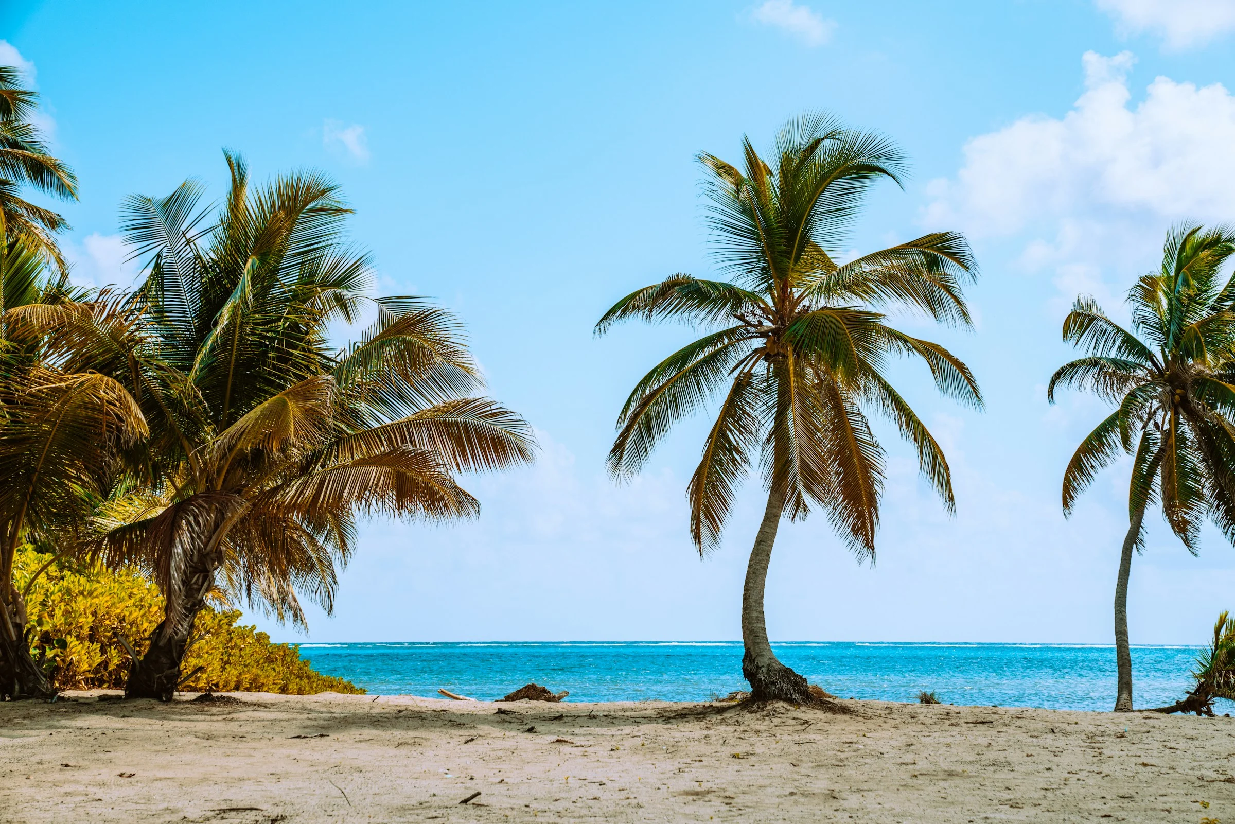 Vom Eigentümer angebotene Häuser in Belize – Direkt vom Eigentümer kaufen | VelesClub Int.