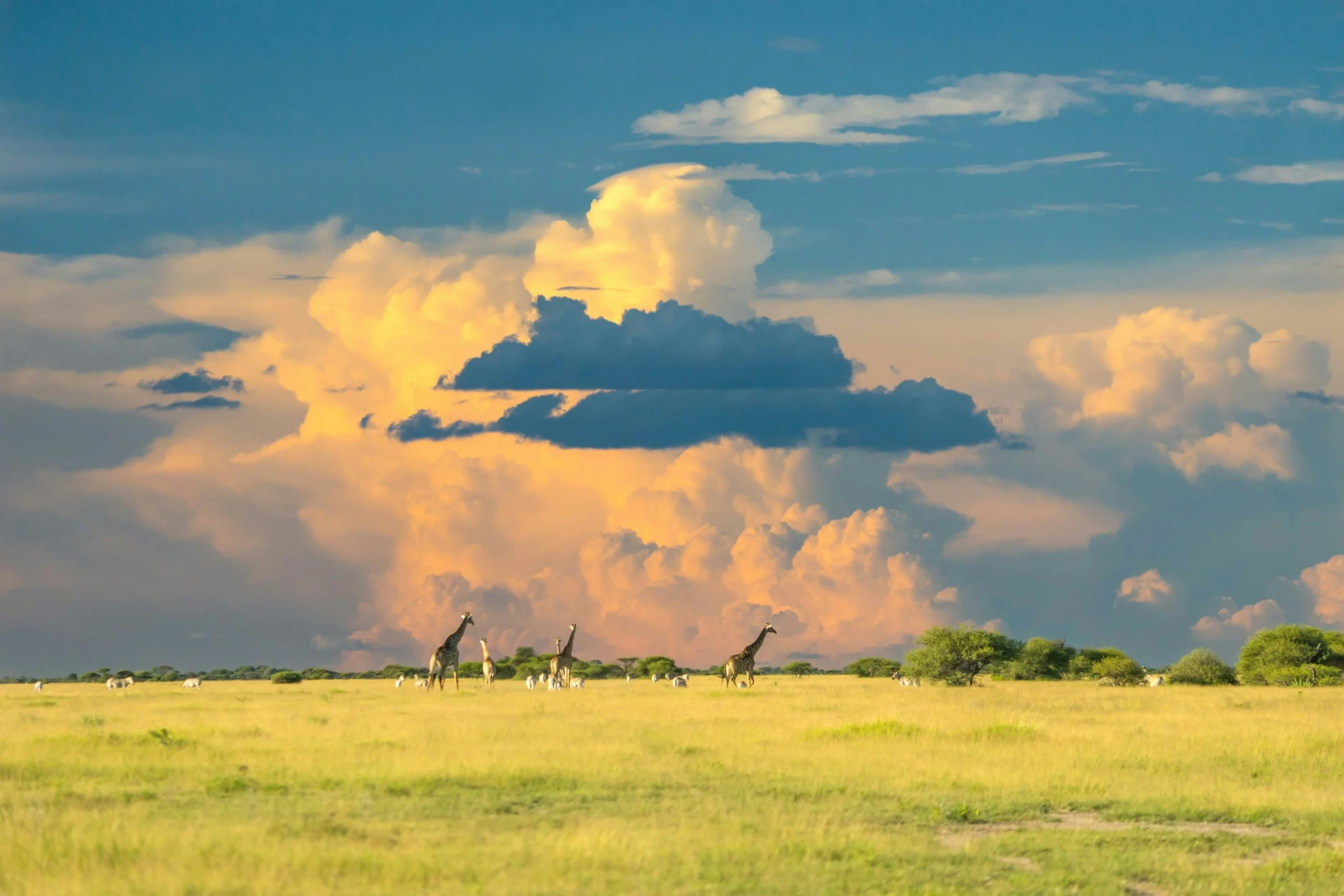 Häuser von Privat in Botswana — FSBO | VelesClub Int.