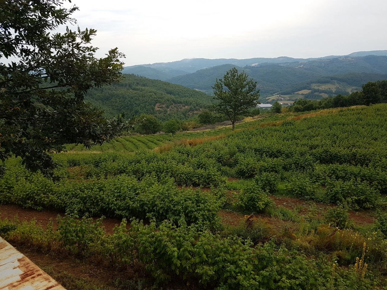 House 2+1 with agricultural plot in Nis, Serbia