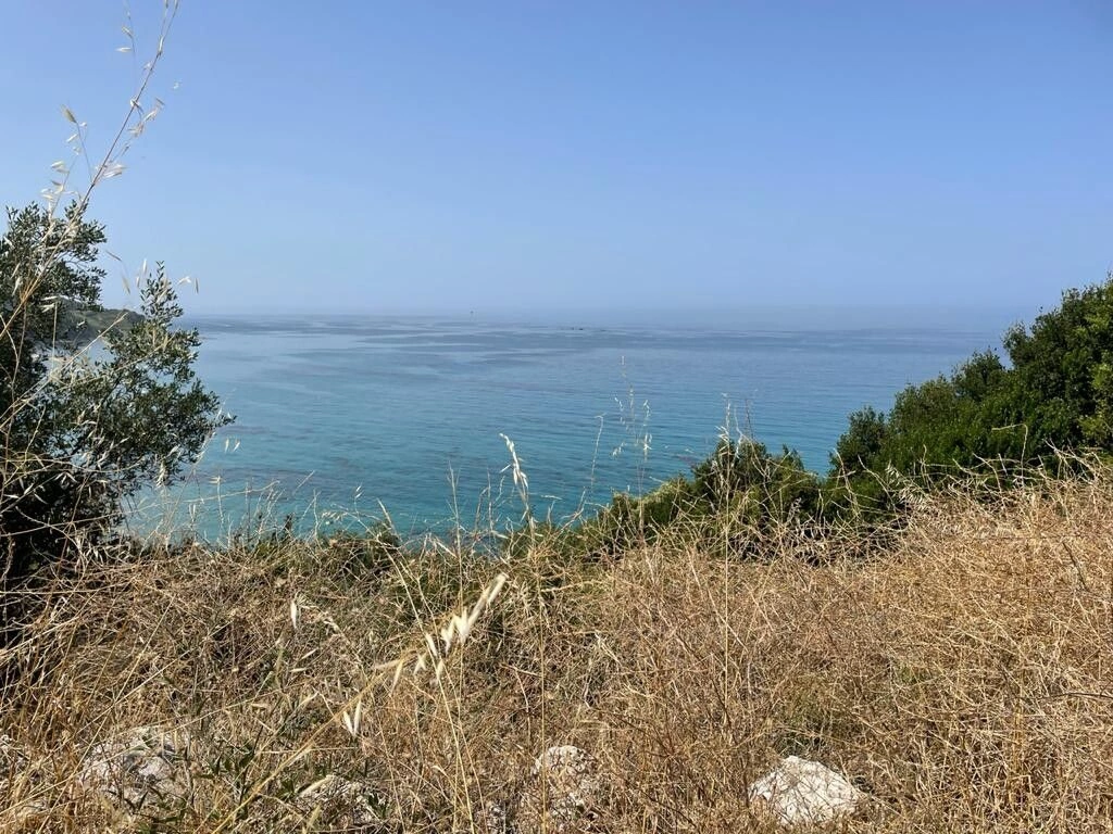 Land in Corfu, 4800 m2