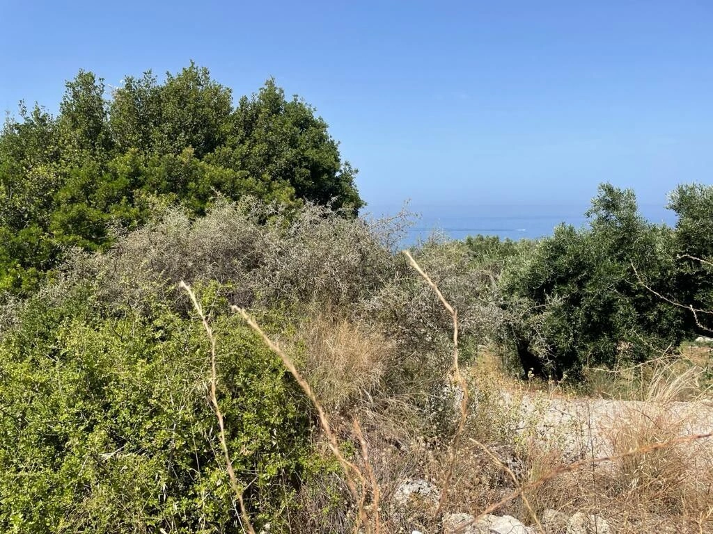 Land in Corfu, 4800 m2