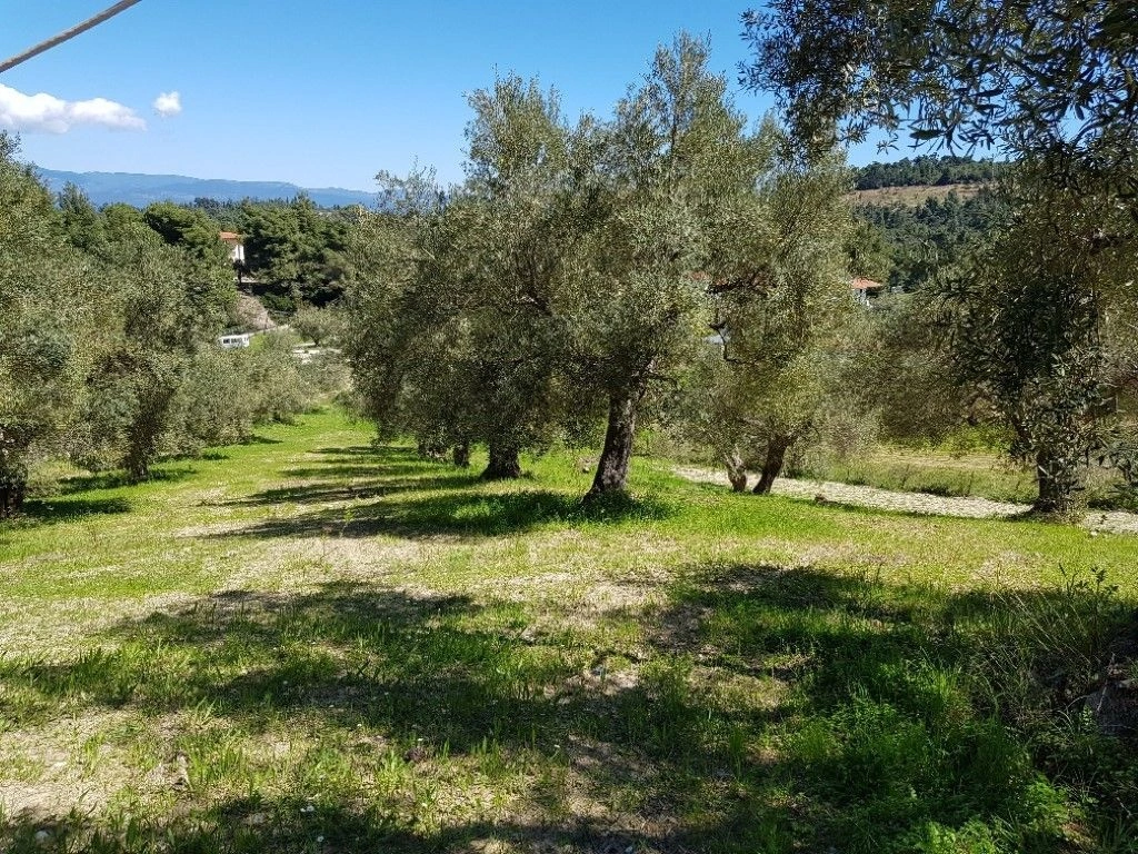 Land in Halkidiki, 2002 m2