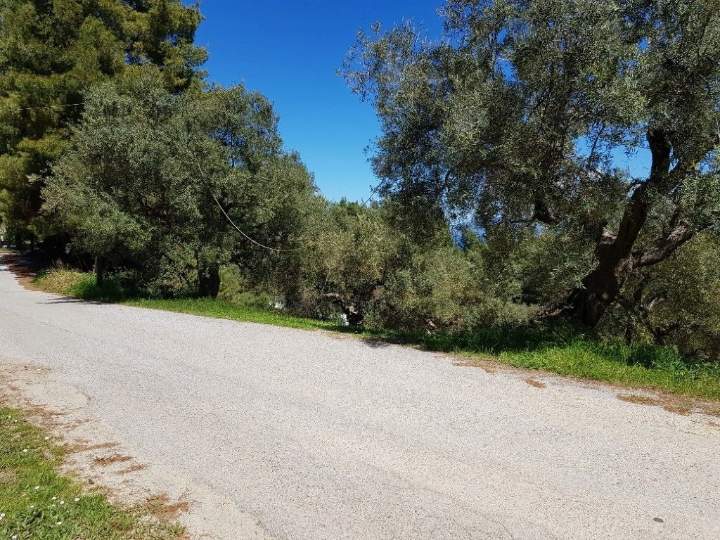 Land in Halkidiki, 2002 m2