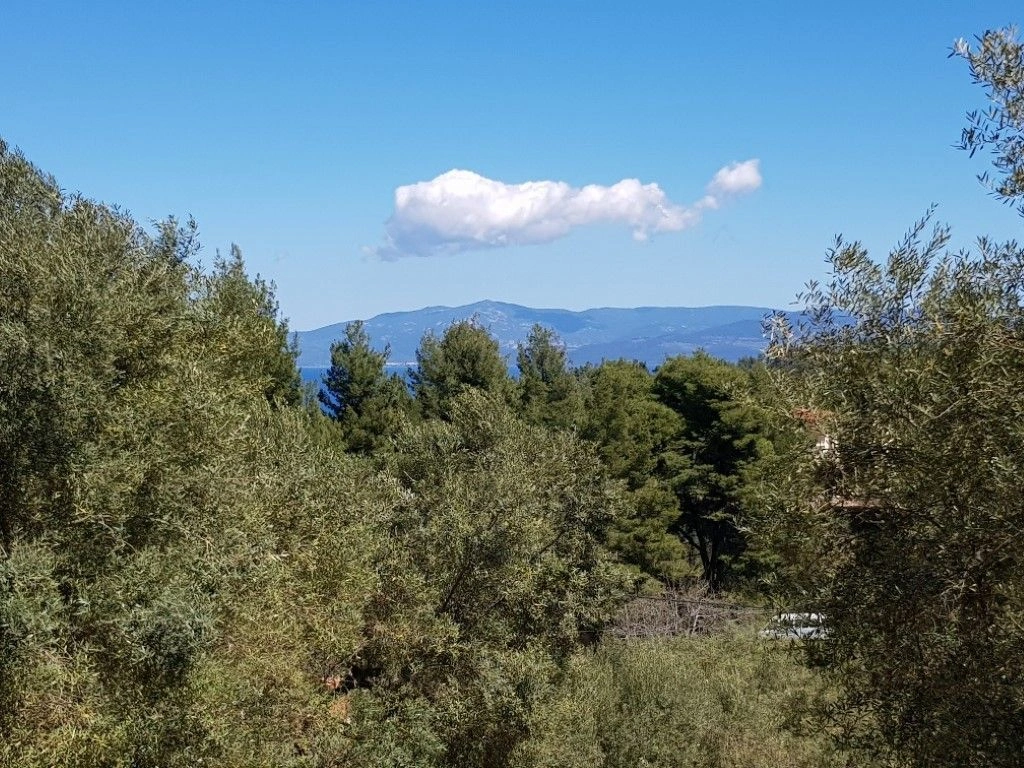 Land in Halkidiki, 2002 m2