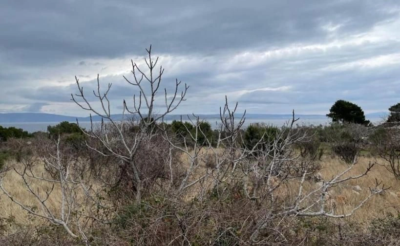 Building plot in Punat, Croatia