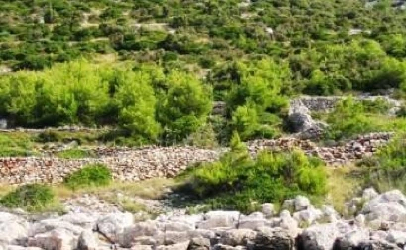 Landwirtschaftliches Grundstück auf der Insel Hvar, Kroatien