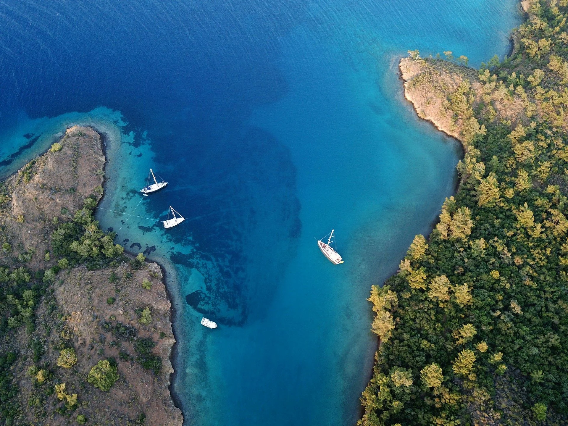 How to Get Citizenship in Bodrum - Turkey residence permit | VelesClub Int.