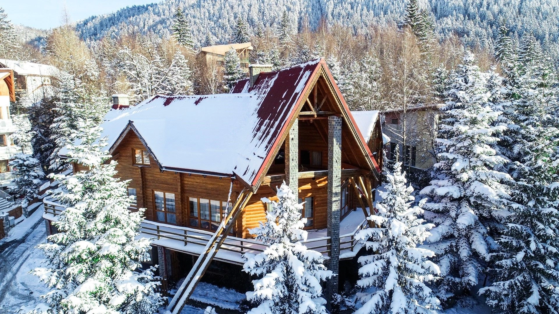 Spacious villa 700 m2 with sauna in Brasov