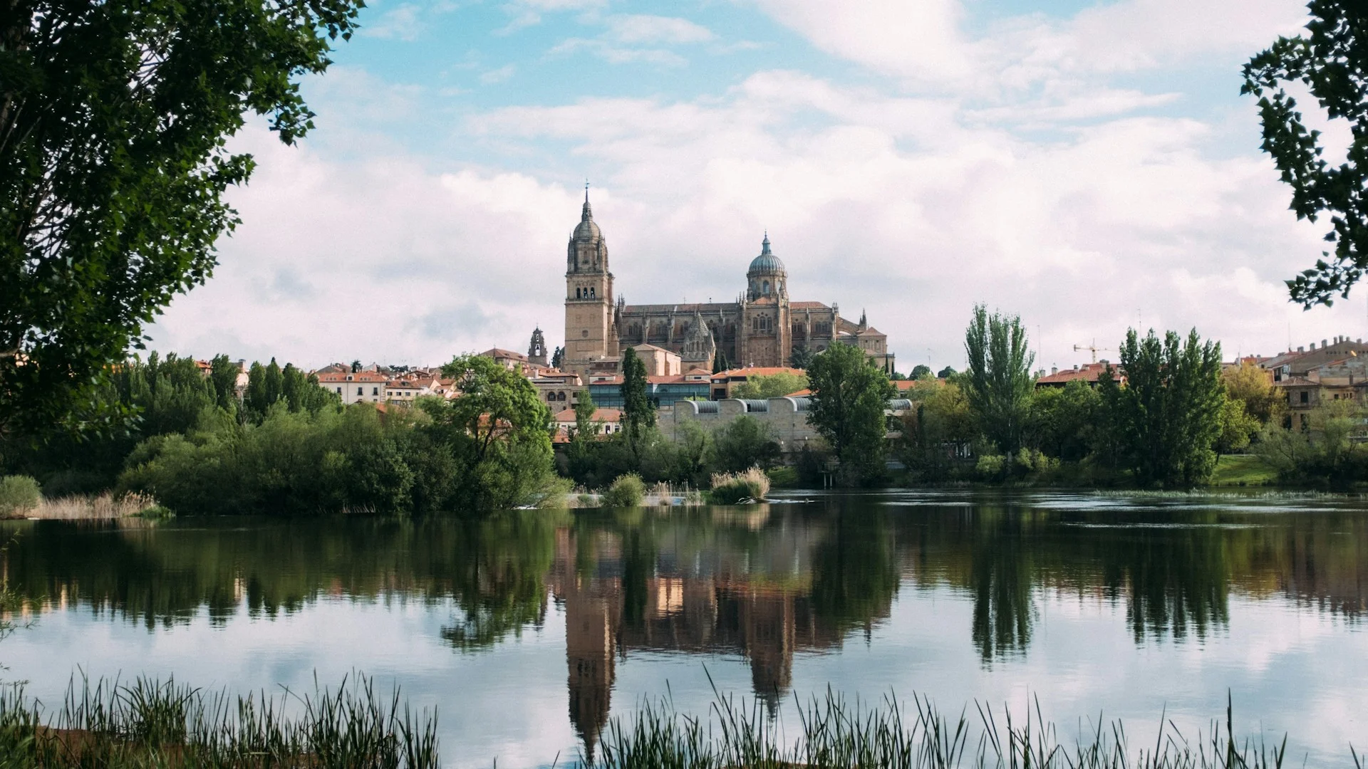 Commercial Property for Sale in Castile and Leon - Verified Asset Access | VelesClub Int.