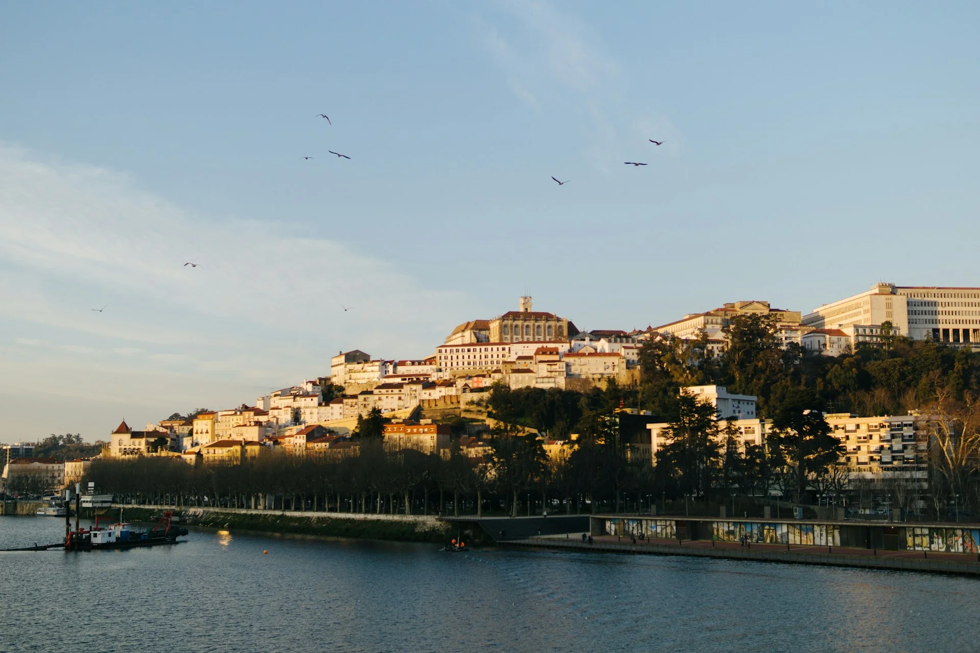 New Real Estate Listings In Coimbra Region — Owner Homes | VelesClub Int.