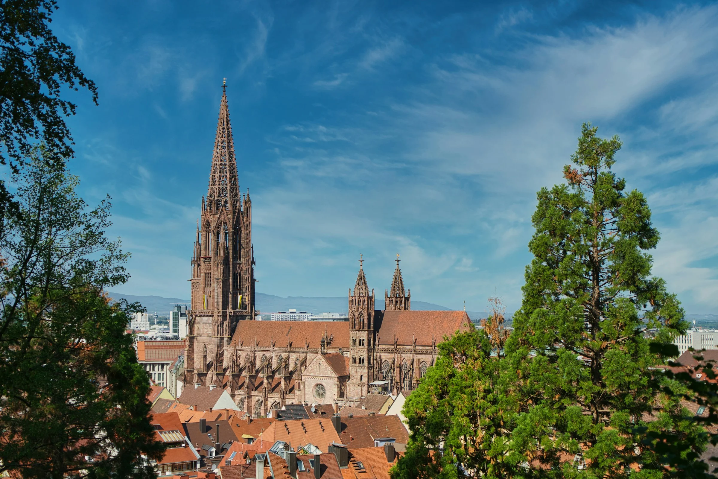 Invest in Freiburg Real Estate – Top Investment Properties | VelesClub Int.