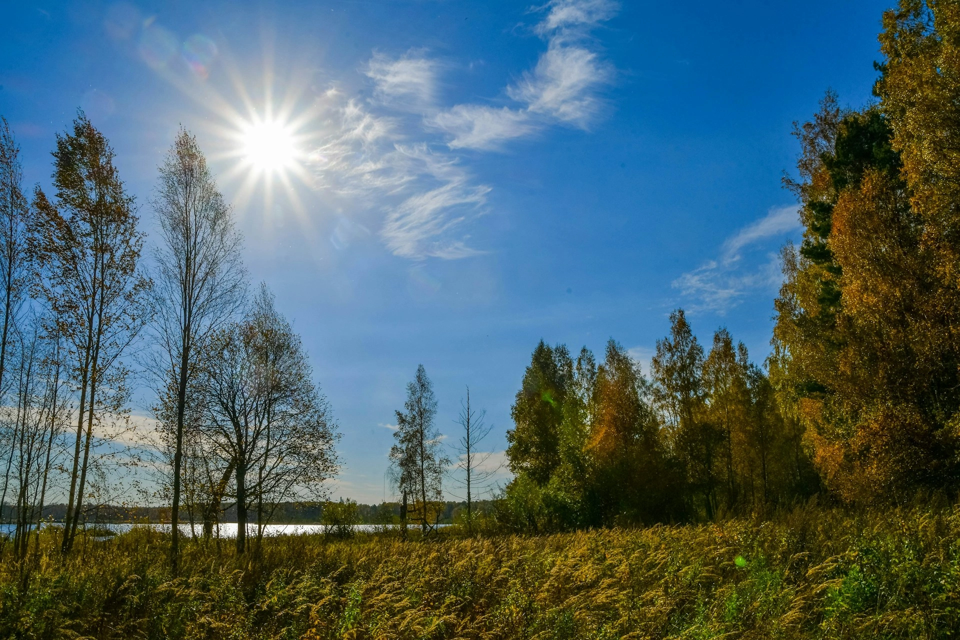 image city Moscow Oblast