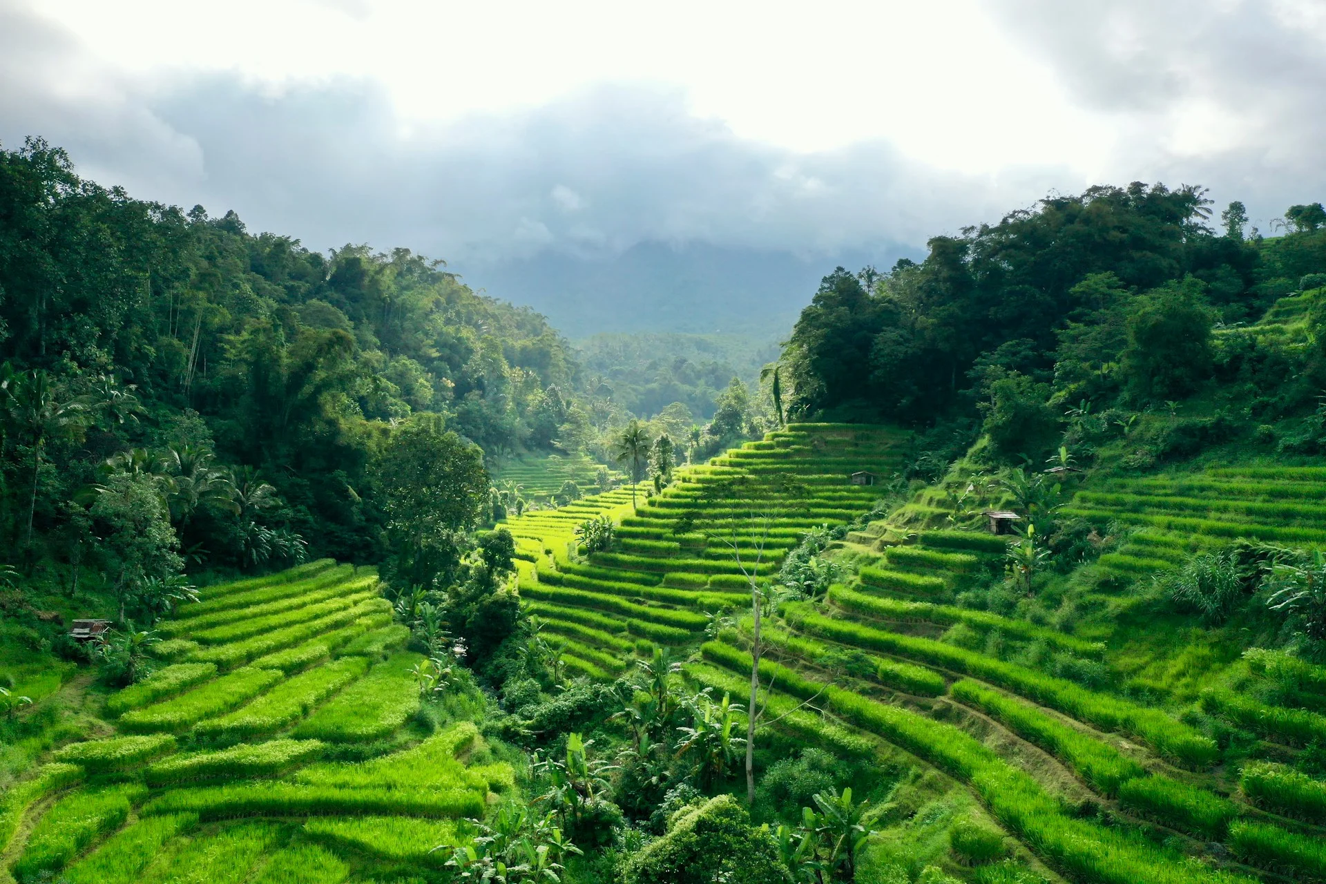 Property By Owner In Tabanan — Private Listings | VelesClub Int.