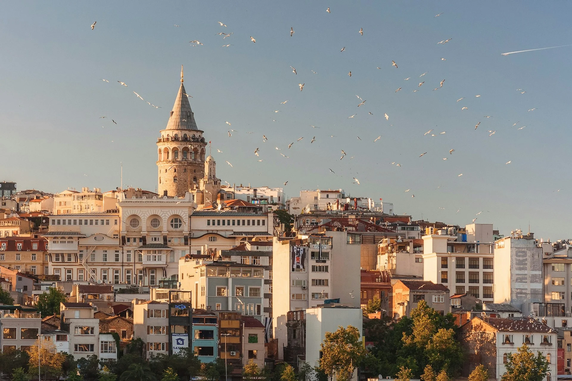 Residence permit in Turkey - check requirements | VelesClub Int.
