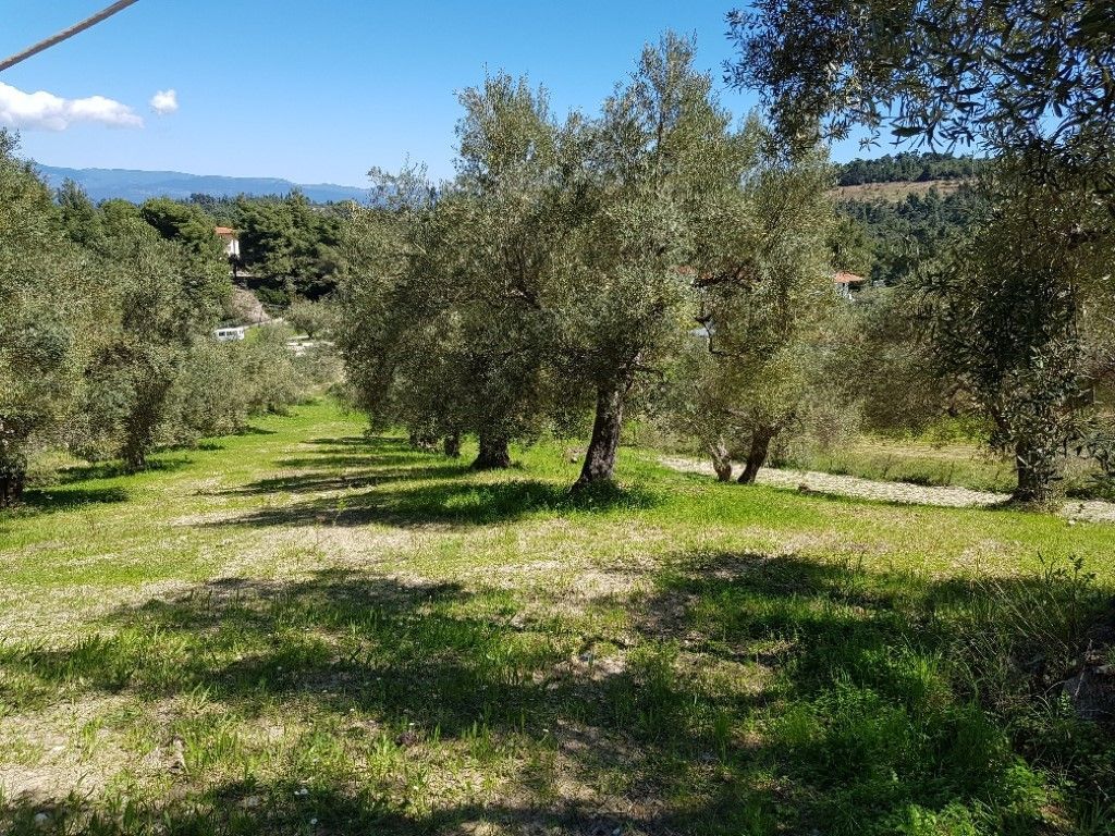 Land in Halkidiki, 2002 m2