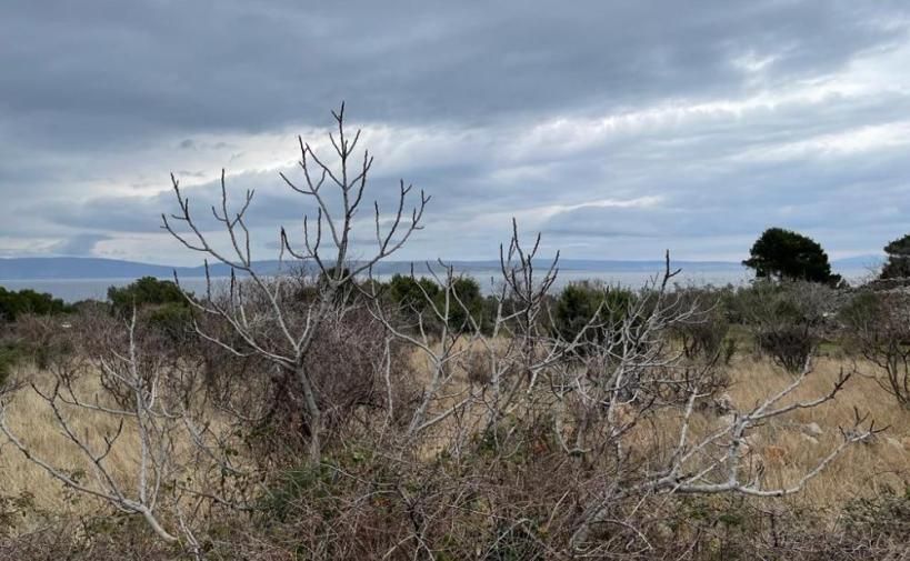 Building plot in Punat, Croatia